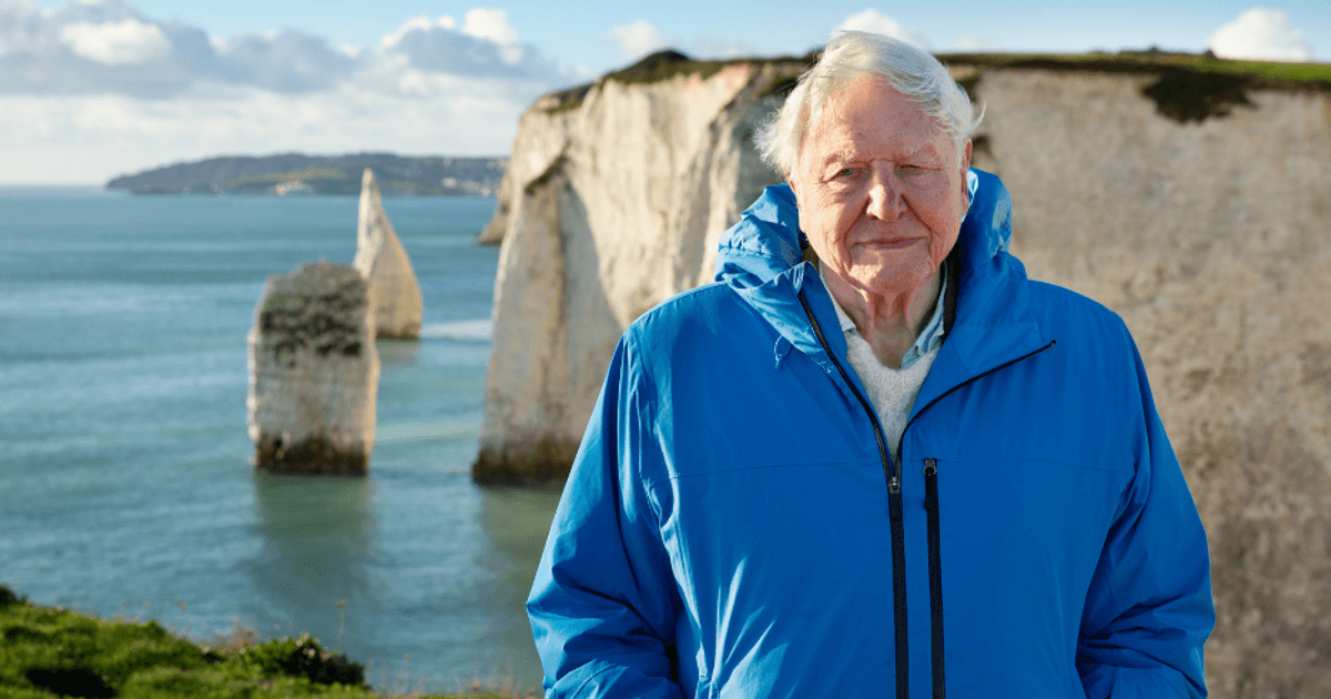 Ocean with David Attenborough (PG) | Corn Exchange Newbury