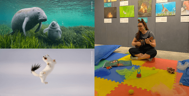CRAFT Songs and stories Wildlife Photographer