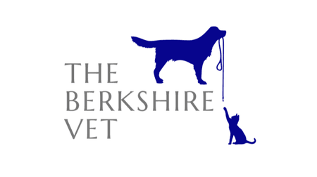 A blue dog with the text The Berkshire Vet
