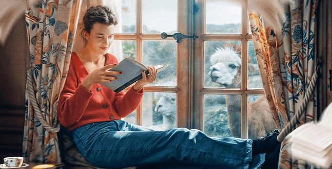 A woman sat reading a book in front of a window, with an alpaca looking at her through the window.